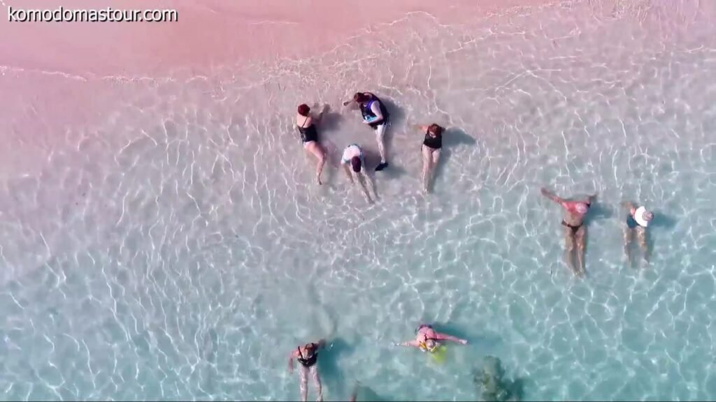 komodo island shore excursions