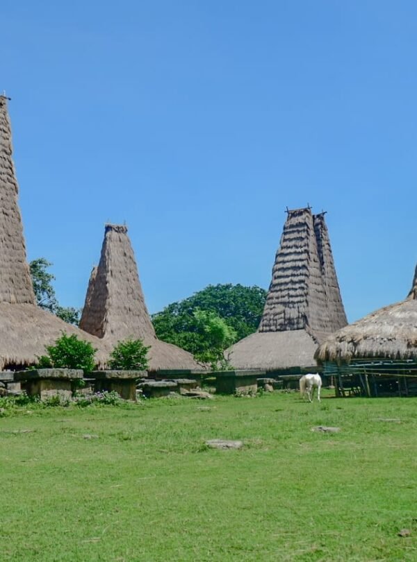 sumba island tour
